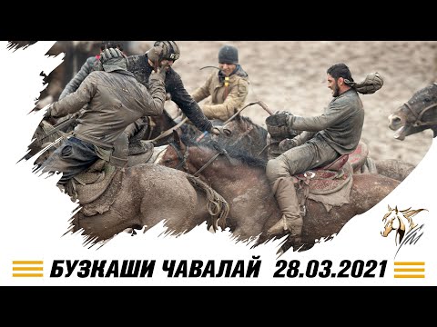 Видео: Бузкаши ЧАВАЛАЙ  28.03.2021