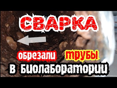 Видео: Видео снято сварщиком на реальном обьекте.Сварка бактериалогических труб...