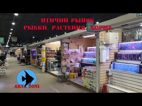 Видео: Птичий рынок. Рыбки. Растения. Корма.