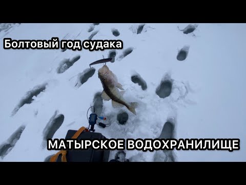 Видео: СУДАК на ВИБЫ в ГЛУХОЗИМЬЕ #судак #вибы #frapp