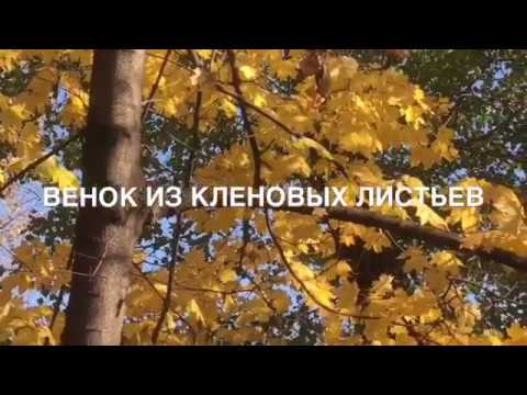 Видео: Как сплести венок из листьев.