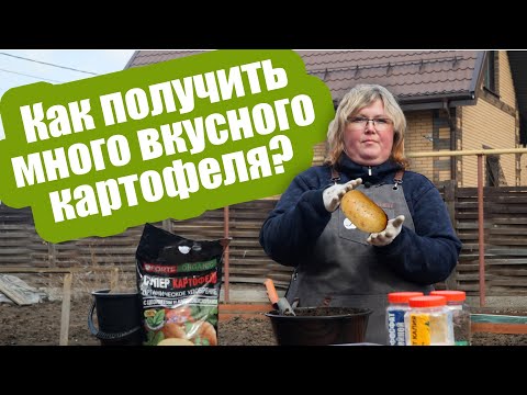 Видео: ГЛАВНЫЕ УДОБРЕНИЯ ДЛЯ КАРТОФЕЛЯ! Подкормка картофеля: что, сколько, и когда вносить
