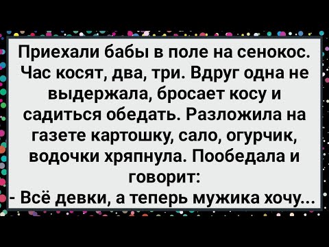 Видео: Как Бабы на Сенокос Приехали! Большой Сборник Свежих Смешных Анекдотов!