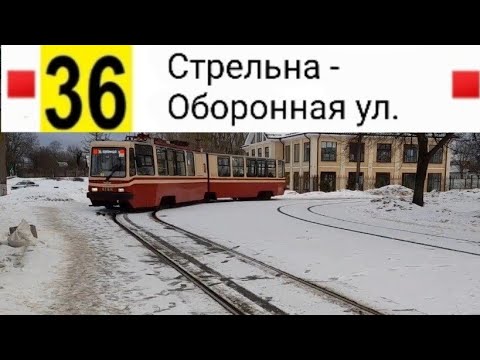 Видео: 36 Трамвай. пос. Стрельна - Оборонная ул.
