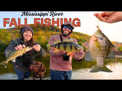 Видео: В погоне за осенним судаком на Миссисипи — и немного охотничьего веселья!