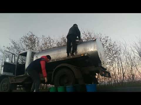 Видео: Утренняя управа на хозяйстве//Деревенская жизнь.
