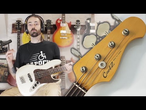 Видео: Обзор CoolZ ZJB-V/R