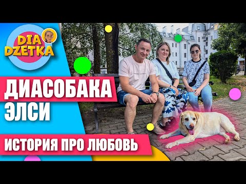 Видео: ДиаСобака ЭЛСИ🦮❤️История про любовь