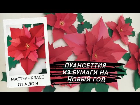 Видео: НОВОГОДНЯЯ ПУАНСЕТТИЯ ИЗ БУМАГИ НА СТЕНУ. МК ПОШАГОВЫЙ + ШАБЛОНЫ/DIY FLOWERS FOR THE NEW YEAR
