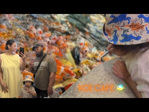 Видео: НАМ УДАЛОСЬ ПОКОРМИТЬ КОПОВ КОИ ВО ВРЕМЯ ЗАВТРАКА 🙌🏾