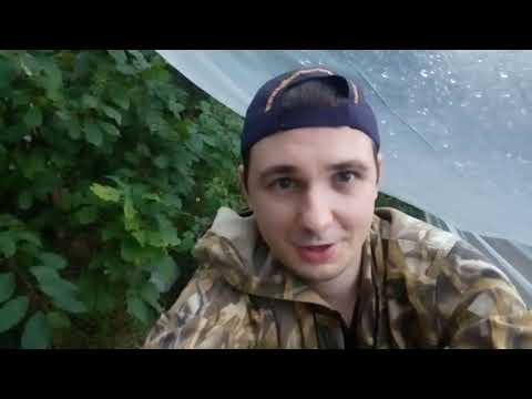 Видео: ЛОВЛЯ РАКОВ В БЕЛАРУСИ. Водохранилище Вяча 2018