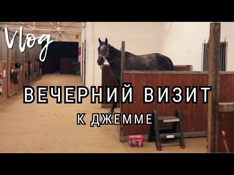 Видео: Вечерний визит к Джемме