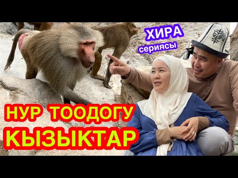 Видео: НУР ТООГО чыгып, ХИРА үңкүрүн КӨРҮП түштүк  -  МАЙМЫЛДАР көп экен  -  УМРА САПАРЫ 2022  -  34-серия