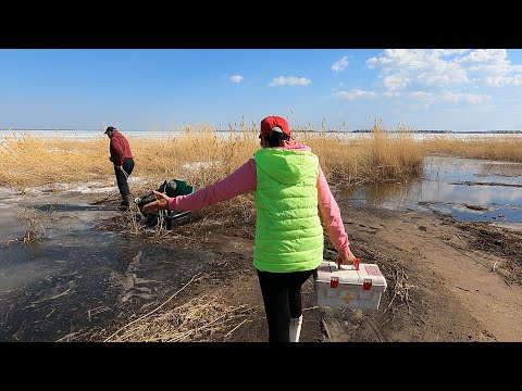 Видео: Карасей-Кабанов половили, комаров накормили, лёд закрыли
