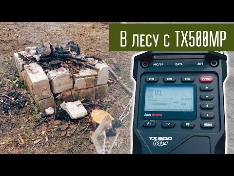 Видео: Прогулка по лесу, Discovery TX500MP и антенна кусок провода.