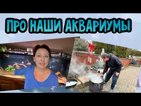Видео: Жизнь в Канадской деревне// наши аквариумы, готовим плов