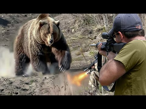 Видео: Посмотрите, как снайперы расстреливают тысячи упрямых медведей из винтовок в Америке 😱🔥👍👌 Часть 1