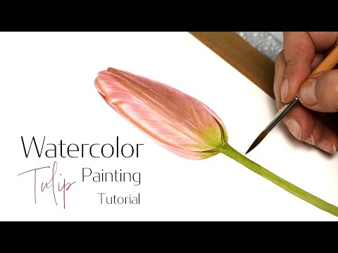 Видео: Как нарисовать розово-персиковый тюльпан акварелью, расслабляющий видеоурок по искусству