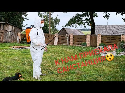 Видео: Пока мама мыла ковры - К НАМ ПРИЕХАЛА САНСТАНЦИЯ???