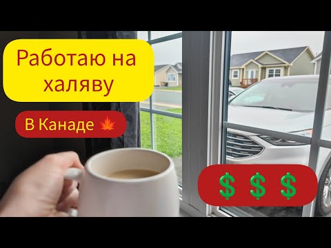 Видео: Зарабатываю 20 и 30 💲 в час⏳. В декрете. КАНАДА 🍁 Сент-Джонс#беженцы#работают#