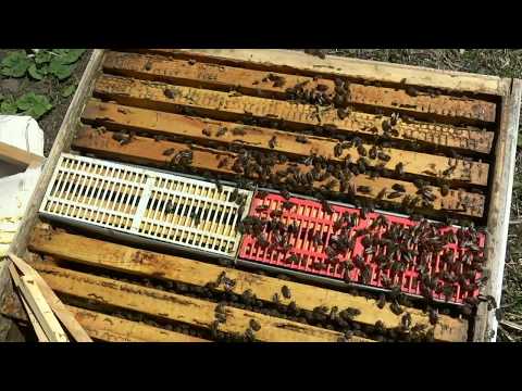 Видео: Два в одном - эксперимент с изолятором. Удачный.