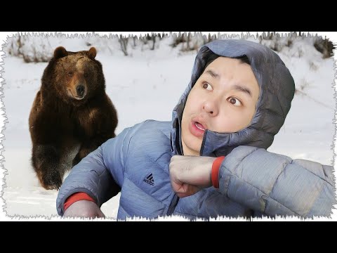 Видео: Алдымнан үлкен Аю шықты! Қааааш!