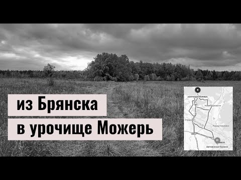 Видео: 😱 зловещее урочище Можерь, Брянский район