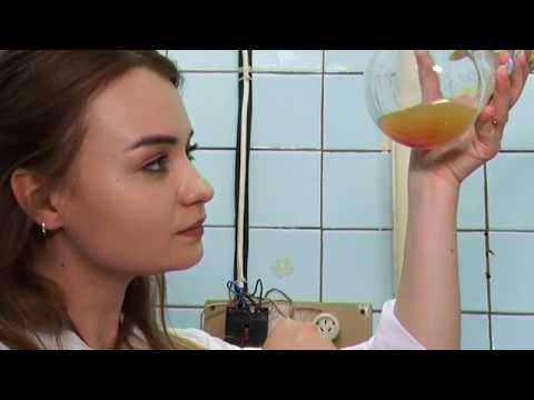 Видео: О факультете