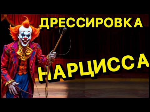 Видео: ДРЕССИРОВКА НАРЦИССА #нарцисс #психология #отношения #черныйпион
