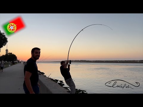 Видео: Рыбалка в Португалии: между путешествием и традицией.
