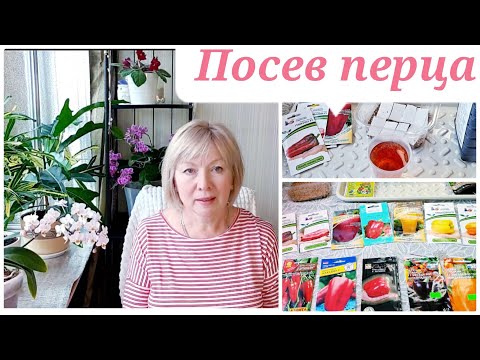 Видео: Посев перца на рассаду.Лучший способ, много сортов.Сроки посева.