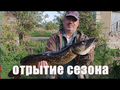 Видео: Трофейная щука на спиннинг Ловля трофейной щуки на резину