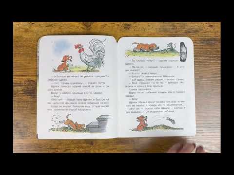 Видео: Кто сказал мяу (Владимир Сутеев)