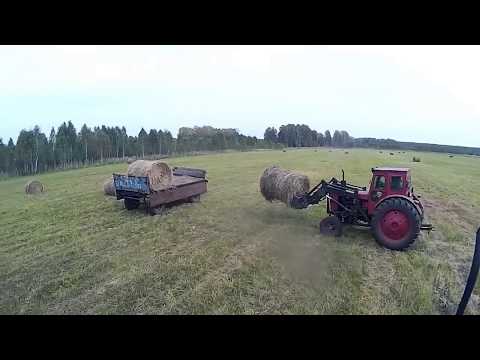 Видео: Трактор т 40 погрузка последних рулонов в этом году.