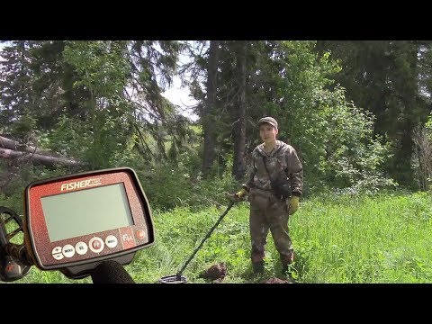 Видео: Fisher F44. Честный тест в грунте