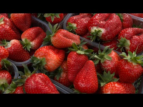 Видео: НАРЕШТІ ДОЧЕКАЛИСЯ! Перший збір 2025.