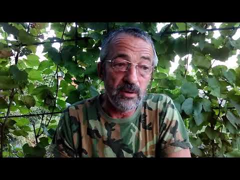 Видео: Вино из чёрной смородины.3 часть. Снова продолжение.