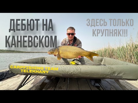 Видео: Дебютный турнир на Каневском