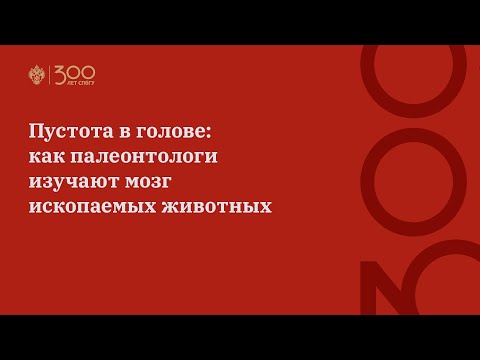 Видео: Пустота в голове: как палеонтологи изучают мозг ископаемых животных