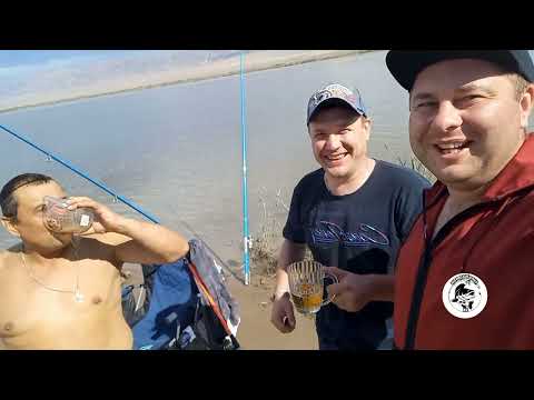Видео: манул. михайловское озеро. рыбалка. #fishing #рыбалка