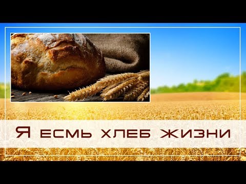 Видео: Я есмь хлеб жизни... — Андрей П. Чумакин | Иоанна 6