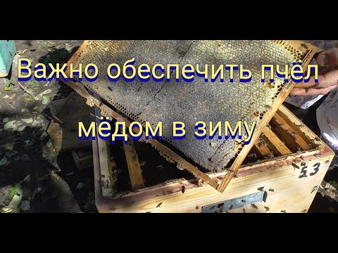 Видео: Важное и окончательное формирование пчелиного гнезда  в зиму.Пополнение кормовых запасов у пчел.