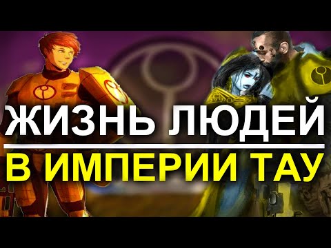 Видео: КАК ЖИВУТ ЛЮДИ в ИМПЕРИИ ТАУ? (WARHAMMER 40000)
