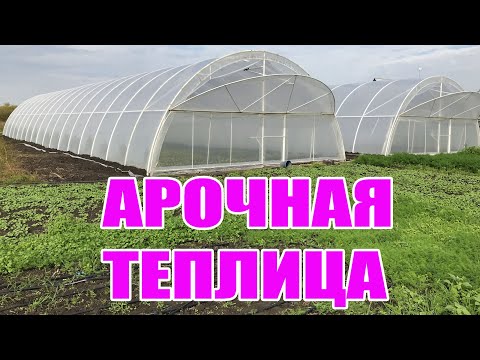 Видео: Арочная теплица  ПОЛНЫЙ ОБЗОР. Тепличный бизнес