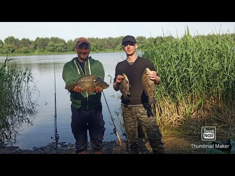 Видео: Оце так рибалка з друзями на Чебенях , риболовля з ночівлею на фідер