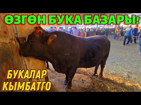 Видео: БУКА БАЗАР УШУНДАЙ 🤯 #байтв 