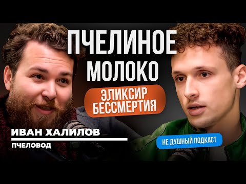 Видео: Пчелы Вымирают?! Мы Следующие. Пчеловод Раскрывает  правду | Иван Халилов в НЕ ДУШНОМ подкасте