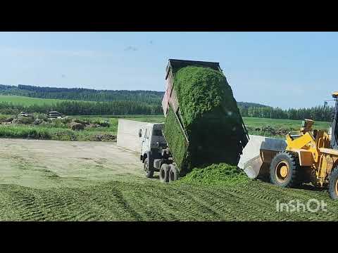 Видео: Уборка сенажа