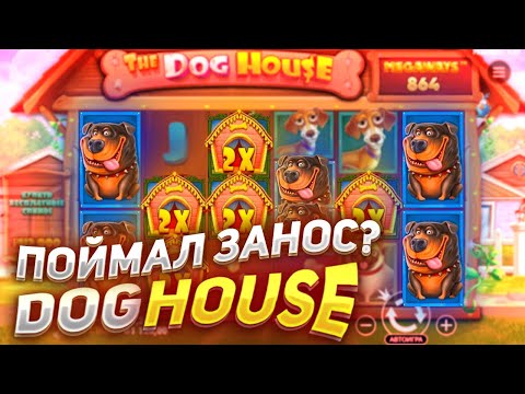 Видео: Ловлю заносы в Dog House Megaways! 50.000Р ДЕПОЗИТ!!! BetBe7 #slot #casino #занос #bigwin #doghouse