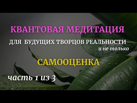 Видео: Квантовая медитация для Творцов Часть 1 Самооценка